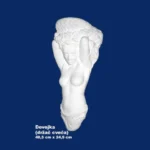 Accente decorative din ipsos